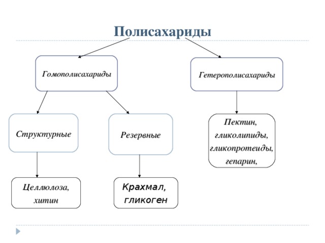 Выберите из списка все примеры структурных полисахаридов