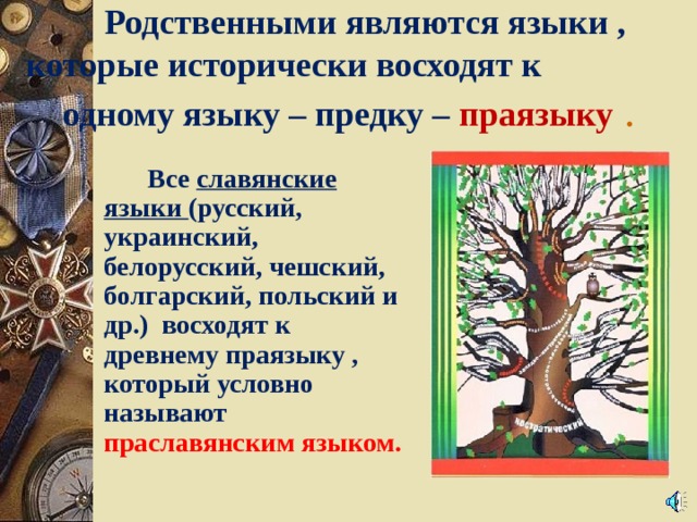 Славянские языки и их развитие проект