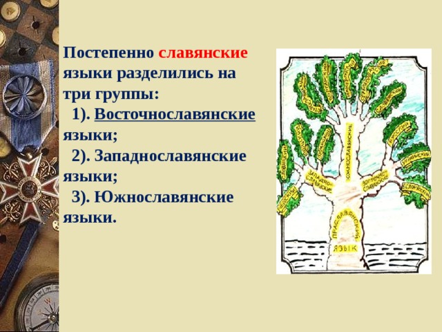 Постепенно славянские языки разделились на три группы:  1). Восточнославянские языки;  2). Западнославянские языки;  3). Южнославянские языки. 