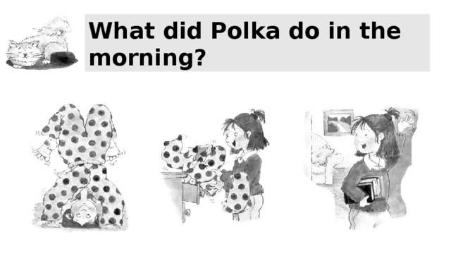 What did Polka do in the morning? 