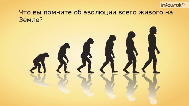 Что вы помните об эволюции всего живого на Земле? 