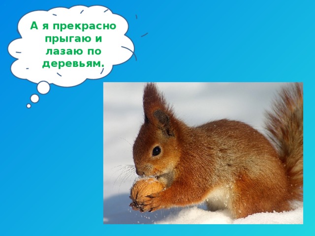 А я прекрасно прыгаю и лазаю по деревьям. 