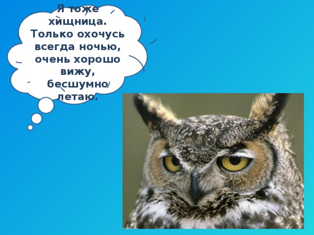 Я тоже хищница. Только охочусь всегда ночью, очень хорошо вижу, бесшумно летаю. 