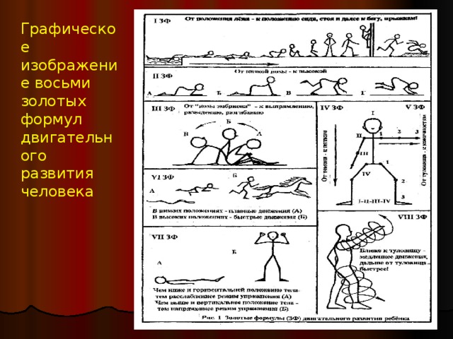 Графическое изображение восьми золотых формул двигательного развития человека  