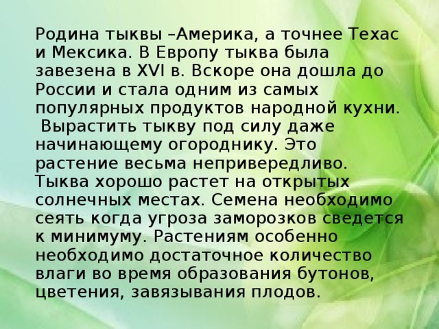 Родина тыквы –Америка, а точнее Техас и Мексика. В Европу тыква была завезена в XVI в. Вскоре она дошла до России и стала одним из самых популярных продуктов народной кухни.  Вырастить тыкву под силу даже начинающему огороднику. Это растение весьма непривередливо. Тыква хорошо растет на открытых солнечных местах. Семена необходимо сеять когда угроза заморозков сведется к минимуму. Растениям особенно необходимо достаточное количество влаги во время образования бутонов, цветения, завязывания плодов.