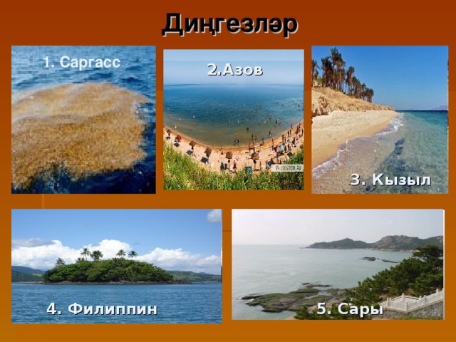 Диңгезләр 1. Саргасс 2.Азов 2. Азов 3. Кызыл 4. Филиппин 5. Сары 