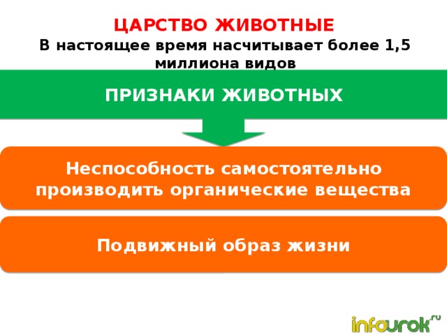 ЦАРСТВО ЖИВОТНЫЕ В настоящее время насчитывает более 1,5 миллиона видов ПРИЗНАКИ ЖИВОТНЫХ Неспособность самостоятельно производить органические вещества Подвижный образ жизни 