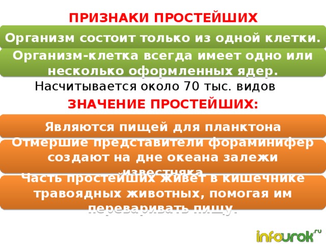 ПРИЗНАКИ ПРОСТЕЙШИХ Организм состоит только из одной клетки. Организм-клетка всегда имеет одно или несколько оформленных ядер. Насчитывается около 70 тыс. видов ЗНАЧЕНИЕ ПРОСТЕЙШИХ: Являются пищей для планктона Отмершие представители фораминифер создают на дне океана залежи известняка Часть простейших живет в кишечнике травоядных животных, помогая им переваривать пищу. 