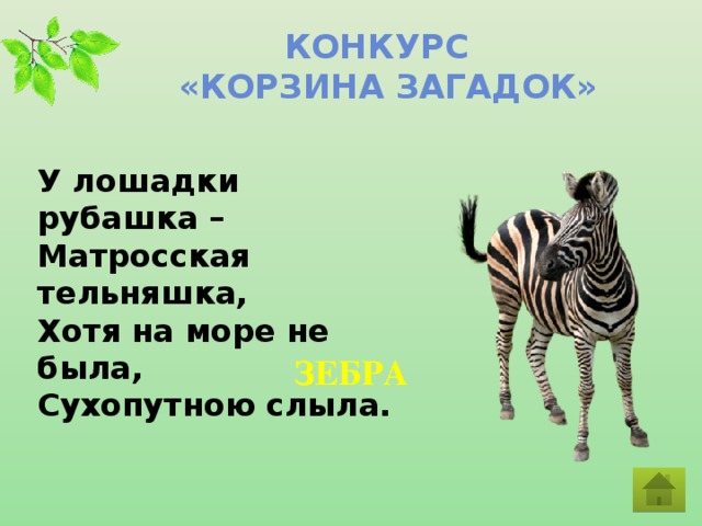 Конкурс  «Корзина загадок» У лошадки рубашка –  Матросская тельняшка,  Хотя на море не была,  Сухопутною слыла. ЗЕБРА