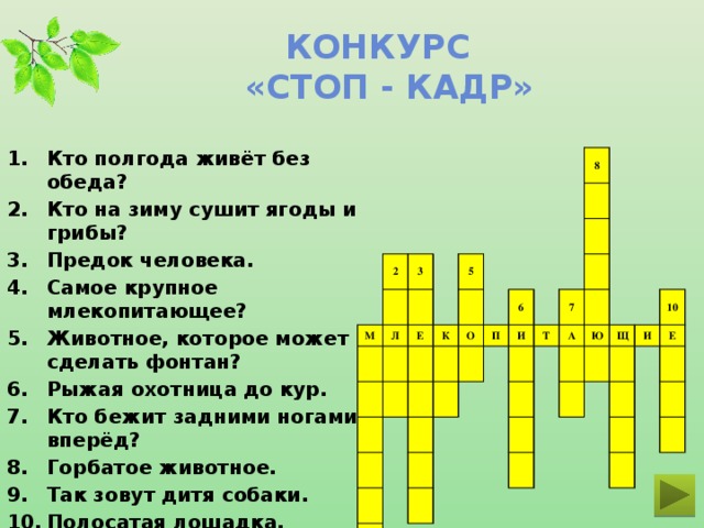 Конкурс  «стоп - кадр» Кто полгода живёт без обеда? Кто на зиму сушит ягоды и грибы? Предок человека. Самое крупное млекопитающее? Животное, которое может сделать фонтан? Рыжая охотница до кур. Кто бежит задними ногами вперёд? Горбатое животное. Так зовут дитя собаки. Полосатая лошадка.  2 М 3 Л Е 5 К 8 О 6 П И 7 Т А Ю Щ 10 И Е