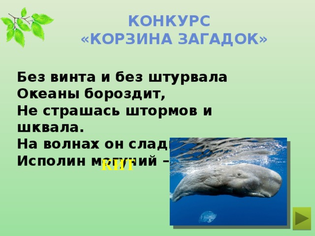 Конкурс  «Корзина загадок» Без винта и без штурвала  Океаны бороздит,  Не страшась штормов и шквала.  На волнах он сладко спит,  Исполин могучий – ... КИТ