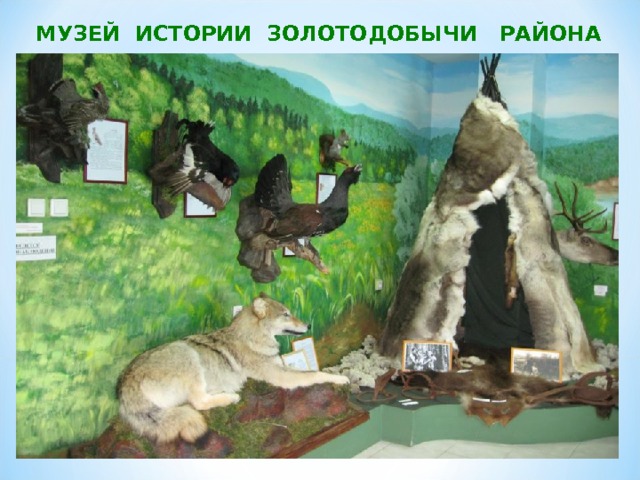 МУЗЕЙ ИСТОРИИ ЗОЛОТОДОБЫЧИ РАЙОНА 