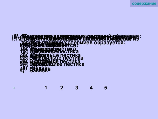 содержание Яйцеклетка у цветковых растений созревает: После оплодотворения центральной клетки одним из спермиев образуется:  Эндосперм  Зигота  Зародыш  Завязь  Эндосперм  Зигота  Зародыш  Завязь  В пыльнике  В завязи пестика  На рыльце пестика В столбике пестика   В пыльнике  В завязи пестика  На рыльце пестика В столбике пестика  Органом полового размножения у цветковых растений является:  Корень  Лист  Цветок  Стебель  Корень  Лист  Цветок  Стебель После оплодотворения яйцеклетки одним из спермиев образуется: Спермий у цветковых растений созревает:  Эндосперм  Зигота  Зародыш  Завязь  Эндосперм  Зигота  Зародыш  Завязь  В пыльнике  В завязи пестика  На рыльце пестика  В столбике пестика  В пыльнике  В завязи пестика  На рыльце пестика  В столбике пестика 1 2 3 4 5 