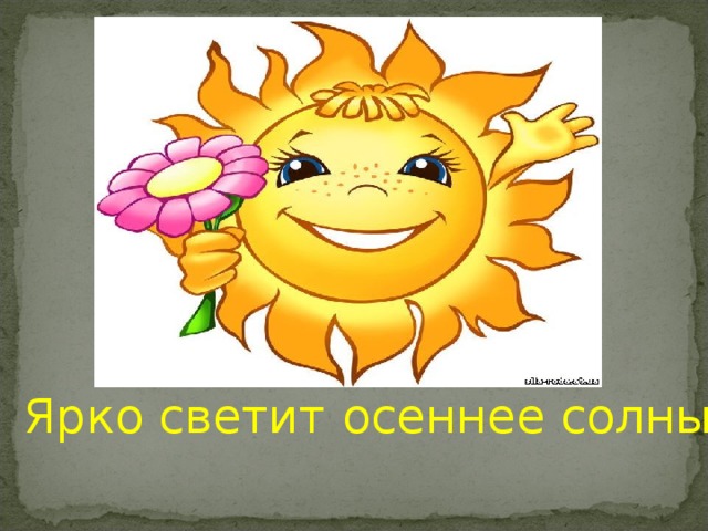 Ярко светит осеннее солнышко. 