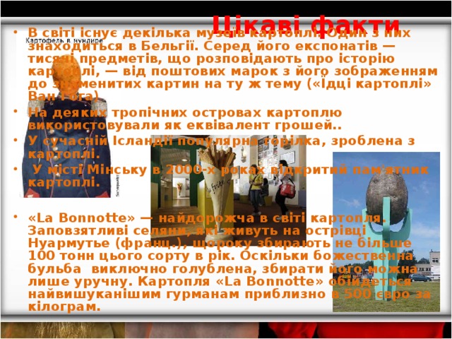  Цікаві факти В світі існує декілька музеїв картоплі. Один з них знаходиться в Бельгії. Серед його експонатів — тисячі предметів, що розповідають про історію картоплі, — від поштових марок з його зображенням до знаменитих картин на ту ж тему («Їдці картоплі» Ван Гога) На деяких тропічних островах картоплю використовували як еквівалент грошей.. У сучасній Ісландії популярна горілка, зроблена з картоплі.  У місті Мінську в 2000-х роках відкритий пам'ятник картоплі.  «La Bonnotte» — найдорожча в світі картопля. Заповзятливі селяни, які живуть на острівці Нуармутье (франц.), щороку збирають не більше 100 тонн цього сорту в рік. Оскільки божественна бульба виключно голублена, збирати його можна лише уручну. Картопля « La Bonnotte» обійдеться найвишуканішим гурманам приблизно в 500 євро за кілограм. 