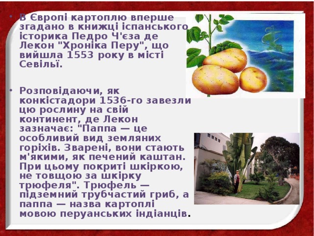 В Європі картоплю вперше згадано в книжці іспанського історика Педро Ч'єза де Лекон 