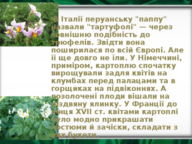   В Італії перуанську 