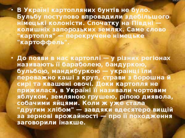 В Україні картопляних бунтів не було. Бульбу поступово впровадили здебільшого німецькі колоністи. Спочатку на Півдні — колишніх запорозьких землях. Саме слово 