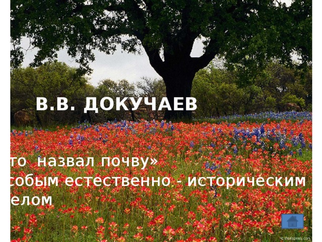 В.В. ДОКУЧАЕВ Кто назвал почву» особым естественно - историческим  телом 