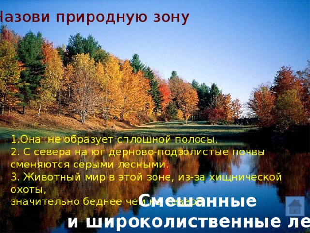Назови природную зону 1.Она не образует сплошной полосы. 2. С севера на юг дерново-подзолистые почвы сменяются серыми лесными. 3. Животный мир в этой зоне, из-за хищнической охоты, значительно беднее чем на севере. Смешанные  и широколиственные леса 