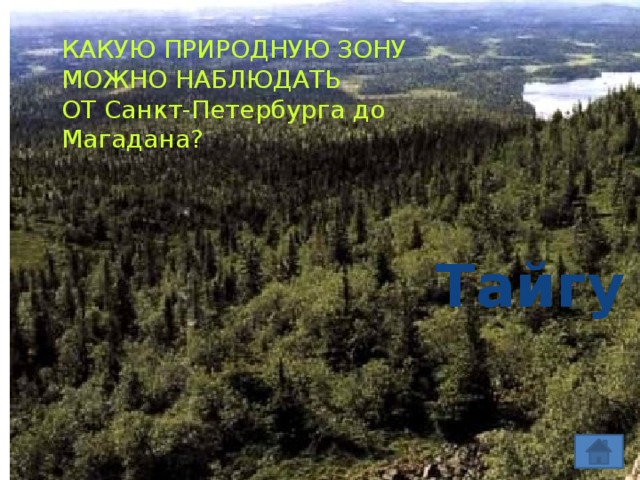 КАКУЮ ПРИРОДНУЮ ЗОНУ МОЖНО НАБЛЮДАТЬ ОТ Санкт-Петербурга до Магадана? Тайгу 