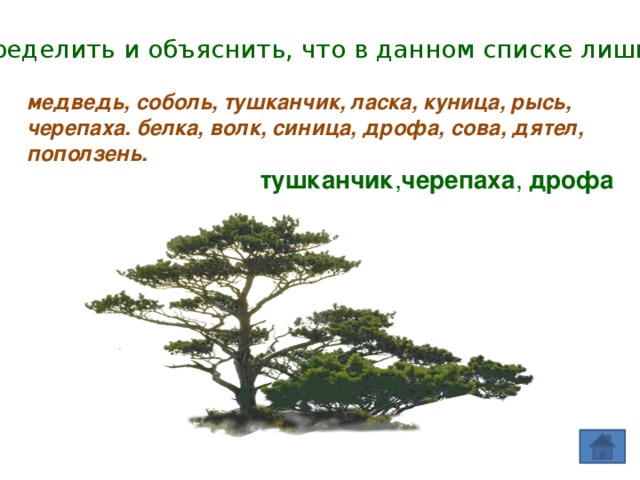 Определить и объяснить, что в данном списке лишнее медведь, соболь, тушканчик, ласка, куница, рысь, черепаха. белка, волк, синица, дрофа, сова, дятел, поползень. тушканчик , черепаха , дрофа 