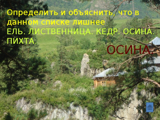 Определить и объяснить, что в данном списке лишнее ЕЛЬ. ЛИСТВЕННИЦА. КЕДР. ОСИНА. ПИХТА. ОСИНА. 