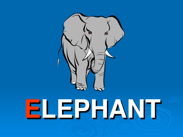 E LEPHANT 