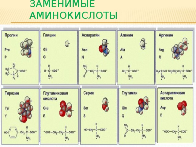 Заменимые аминокислоты 