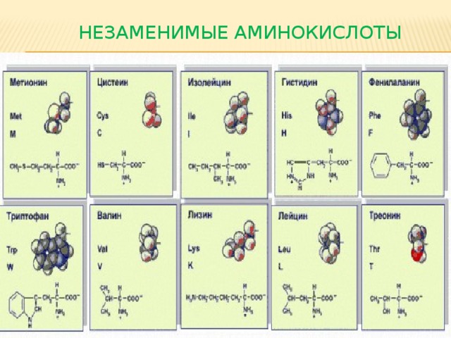 Незаменимые аминокислоты 