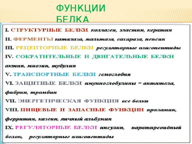 Функции белка 