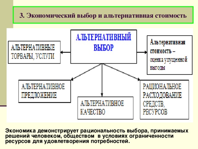 Выборы план обществознание