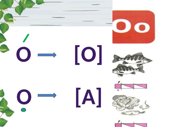 О [О] О [а] 