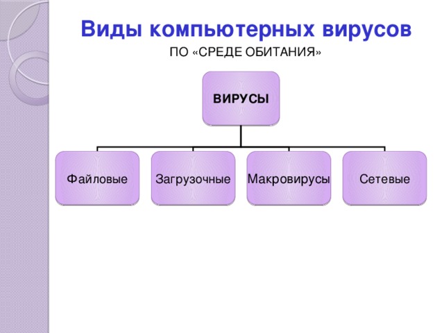 Виды компьютерных вирусов ПО «СРЕДЕ ОБИТАНИЯ» ВИРУСЫ Файловые Загрузочные Макровирусы Сетевые 