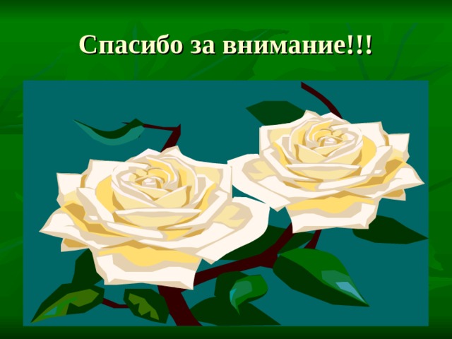 Спасибо за внимание!!! 