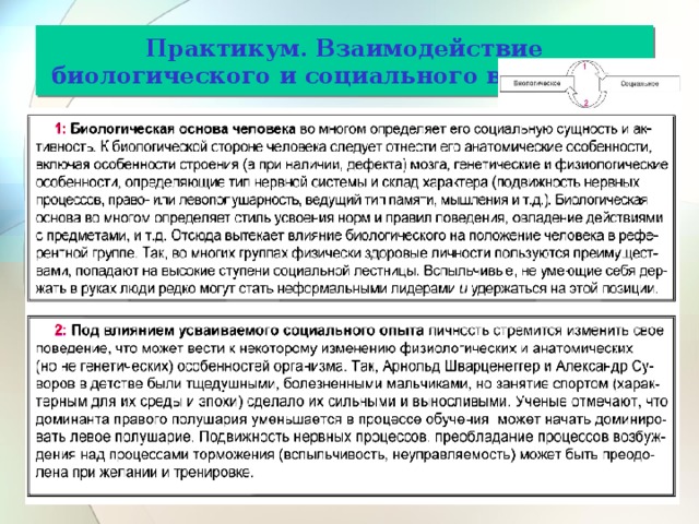 Практикум. Взаимодействие биологического и социального в человеке 