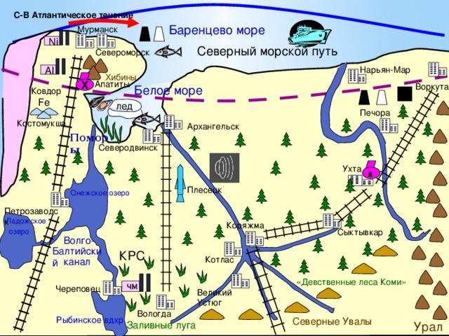 С-В Атлантическое течение Баренцево море Мурманск Ni Северный морской путь Североморск Al Нарьян-Мар Хибины Апатиты Воркута Х Белое море Ковдор Fe лед Печора Костомукша Архангельск Поморы Северодвинск Ухта Плесецк Онежское озеро Петрозаводск Ладожское Коряжма Сыктывкар озеро Волго- Балтийский КРС Котлас канал «Девственные леса Коми» чм Череповец Великий Устюг Вологда Рыбинское вдхр Северные Увалы Урал Заливные луга