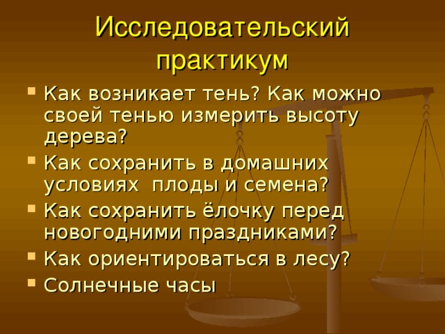 Исследовательский практикум Как возникает тень? Как можно своей тенью измерить высоту дерева? Как сохранить в домашних условиях плоды и семена? Как сохранить ёлочку перед новогодними праздниками? Как ориентироваться в лесу? Солнечные часы 