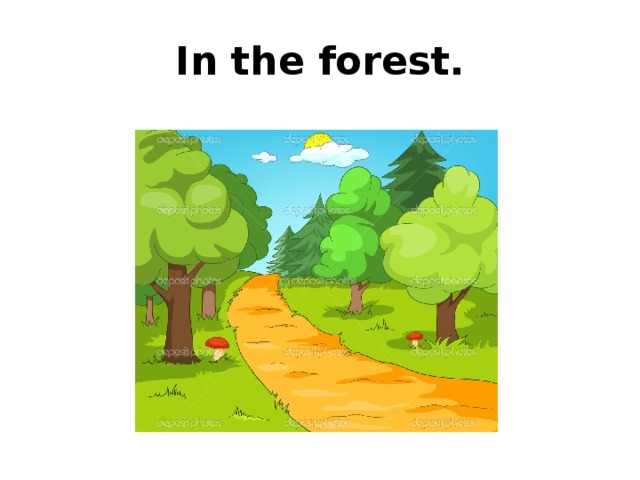 In the forest. 