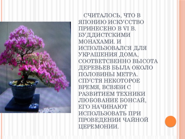  Считалось, что в Японию искусство принесено в vi в. буддистскими монахами. И использовался для украшения дома, соответсвенно высота деревьев была около половины метра. Спустя некоторое время, всвязи с развитием техники любование бонсай, его начинают использовать при проведении чайной церемонии. 