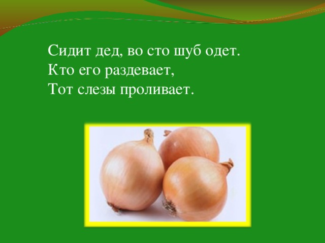 Картинка сидит дед во сто шуб одет