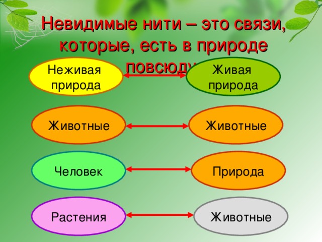 Невидимые нити – это связи, которые, есть в природе повсюду. Неживая природа Живая природа Животные Животные Человек Природа Растения Животные 