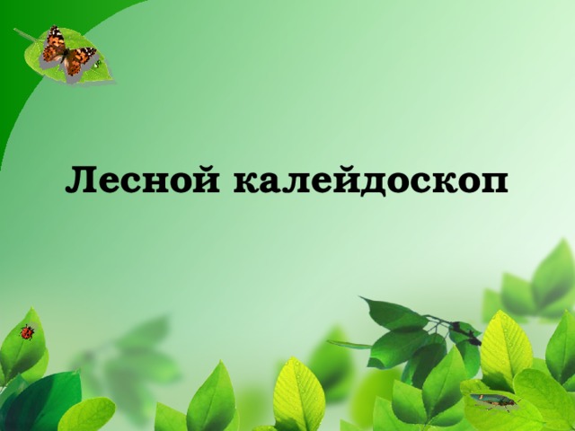 Лесной калейдоскоп 