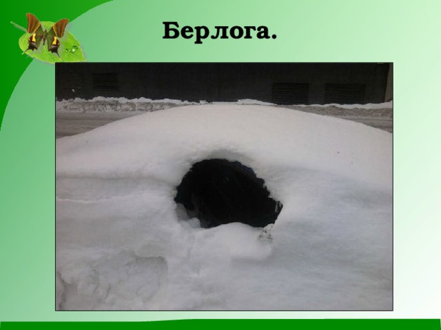 Берлога. 