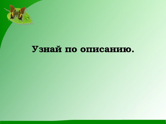       Узнай по описанию. 