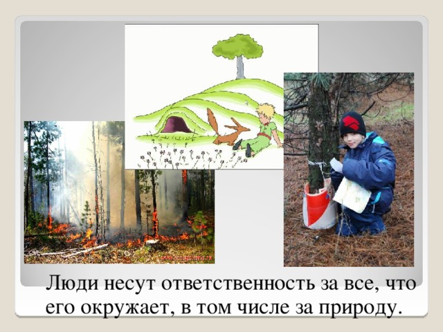 Люди несут ответственность за все, что его окружает, в том числе за природу. 9 