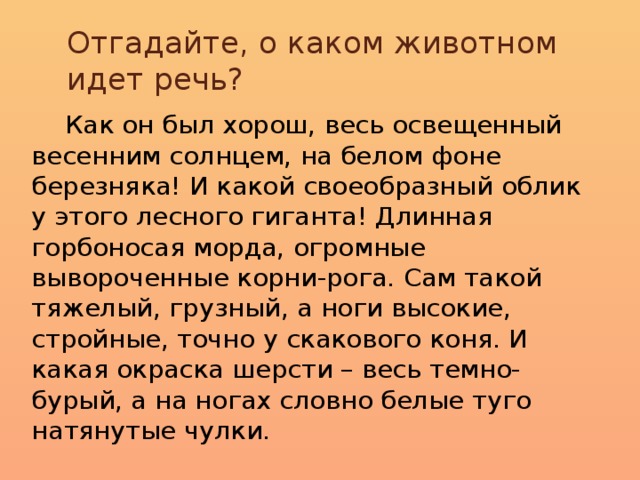Отгадайте, о каком животном идет речь? Как он был хорош, весь освещенный весенним солнцем, на белом фоне березняка! И какой своеобразный облик у этого лесного гиганта! Длинная горбоносая морда, огромные вывороченные корни-рога. Сам такой тяжелый, грузный, а ноги высокие, стройные, точно у скакового коня. И какая окраска шерсти – весь темно-бурый, а на ногах словно белые туго натянутые чулки.
