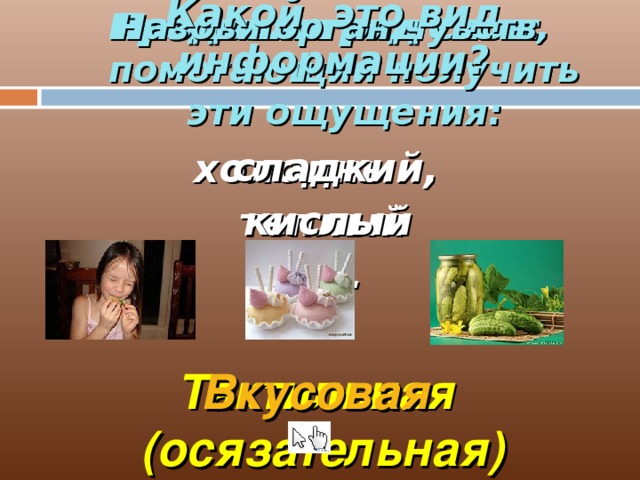 Назови орган чувств, помогающий получить эти ощущения: Какой это вид информации? Продолжи ряд слов:  сладкий кислый … .. Назови орган чувств, помогающий получить эти ощущения: Какой это вид информации? Продолжи ряд слов:  холодный, теплый … .. Тактильная (осязательная) Вкусовая 