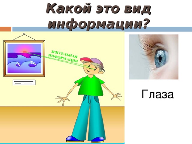 Какой это вид информации? Глаза 