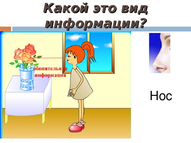 Какой это вид информации? Нос 